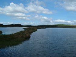 Morning View of Loch Humphrey
