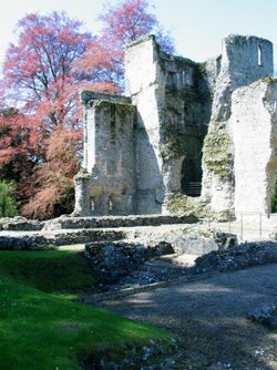 Bishop's Waltham Palace Ruins