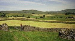 Wensleydale near Hawes, North Yorkshire