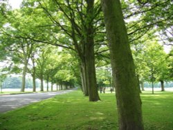 Temple Newsam, Leeds. Lovely entrance