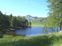Blea Tarn, Little Langdale, Cumbria