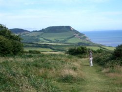 Osmington view over golden cab, Dorset