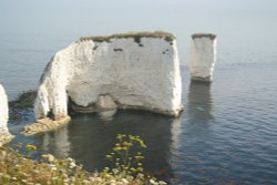 Harrys Rock, Studland, Dorset