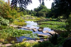 University Botanic Gardens, Cambridge
