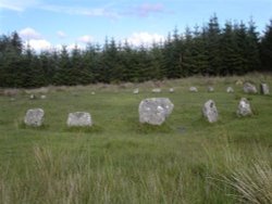 Fernworthy Stone Circle, near Chagford, Devon