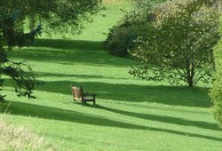Peaceful scene, Cockington Country Park, Devon