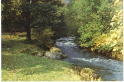 A stream near Rydal, Lake district