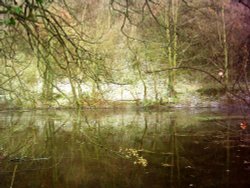 Cressbrook Mill Water, Derbyshire