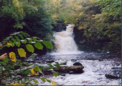 The falls at Askrigg, North Yorkshire