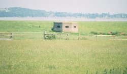 A picture of Sharpness