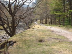 The path at the end of Stonethwaite Campsite, used by a lot of walkers