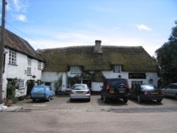 A picture of Dalwood