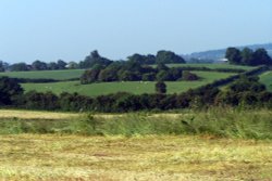 Cutnall Green, Worcestershire. July morning from the field at the top of New road hill.