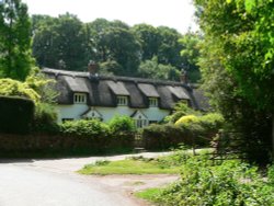 Thatched houses in the village of Holford on the edge of the Quantock hills, Somerset