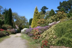 Exbury Gardens, Exbury, Hampshire