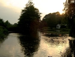 Fishbourne Duckpond near Chichester, West Sussex