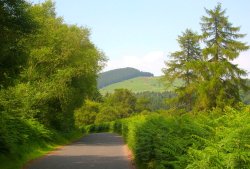 Near Alwinton, Northumberland.