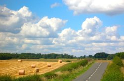 Near Bolam in Northumberland.