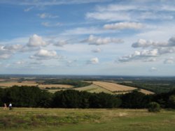 Kingley Vale in Sussex