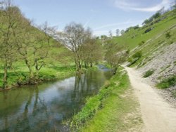 Wolfescote Dale, Hartington, Derbyshire