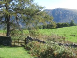 Gentle farmland of lower Wasdale with the dramatic backdrop of the screes.