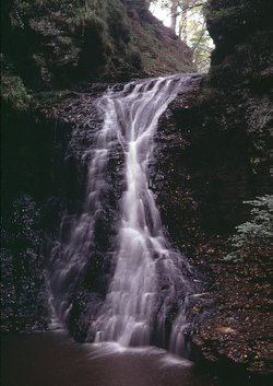 A picture of Bellingham