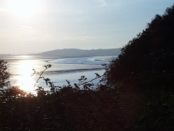 A picture of Silverdale