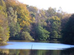 Serpentine Pool, Greenway Bank Country Park, Biddulph