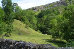 Hebden Ghyll, Hebden, North Yorkshire. Taken June 2006.