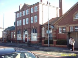 A picture of Reddish