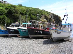 Cadgwith. A pretty fishing village on the Lizard, Cornwall.