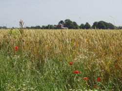 Cackle Hill Lane, Holbeach