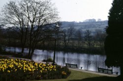 Chollerford Bridge over the River North Tyne, Chollerford, Northumberland