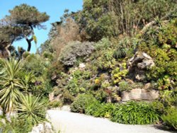 A view in the Abbey Garden, Tresco