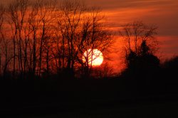 Sunset in April at Rowney Warren, Nr Chicksands, Shefford, Beds