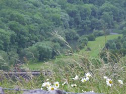 A view looking down Monsal Dale onto the River Wye - Peak District