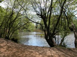 Petersfield Heath, Petersfield, Hampshire