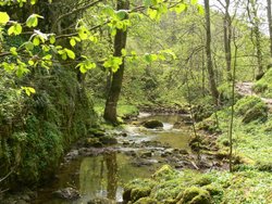 Walk Near Malham, North Yorkshire