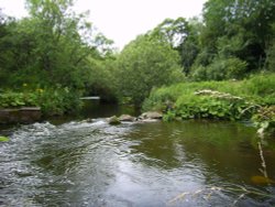 The River Wye, Miller's Dale, Derbyshire