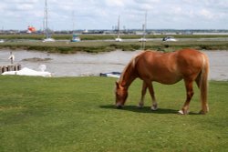 Ashlett Creek, Fawley, Hampshire