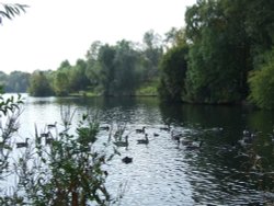 Charnwood Water in Loughborough, Leicestershire