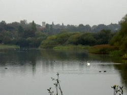Sprotbrough Flash, South Yorkshire