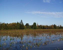 Wye Valley Shipley Garden Landscape
