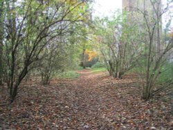 Around Faringdon Folly