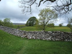 Tenter Hill, Slaidburn, Forest of Bowland, Lancashire