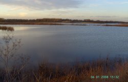 Chainbridge Nature Reserve