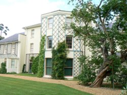 Down House &  Mulberry Tree