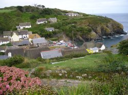 Cadgwith Cove from Praze Gooth.