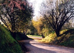 Parmater's approach, Tisbury, Wiltshire