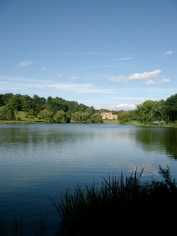 Himley Hall in Himley Park